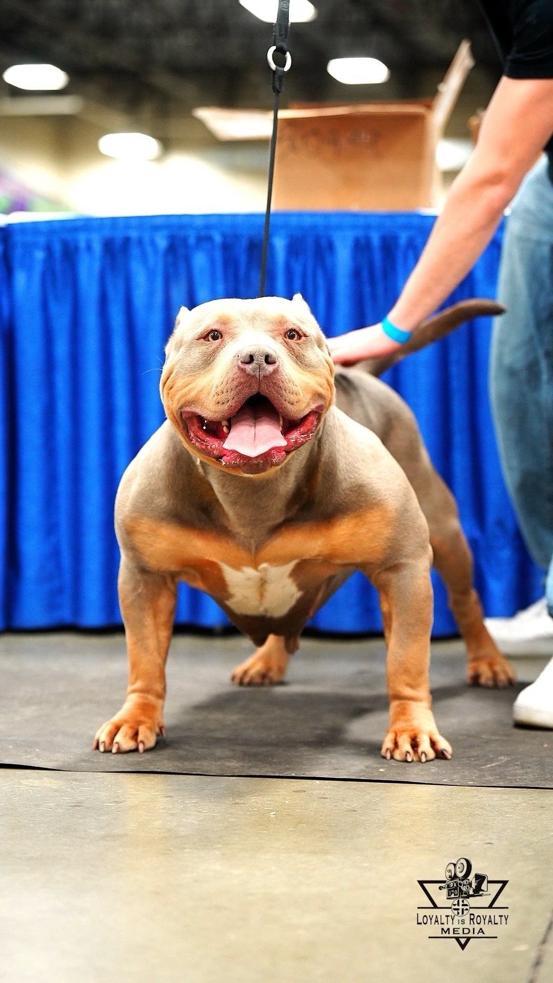 Asia - Programme Female