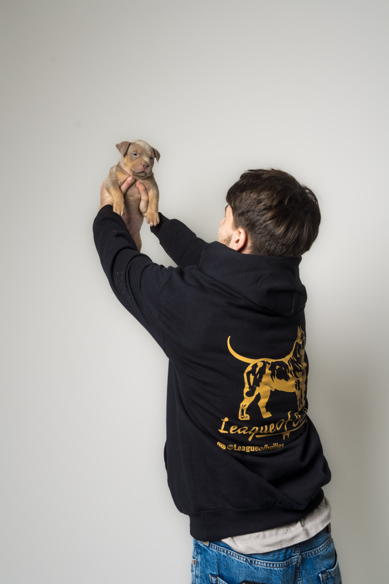 Puppy 4